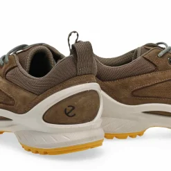 Ecco Biom Energi Explorer Men Best