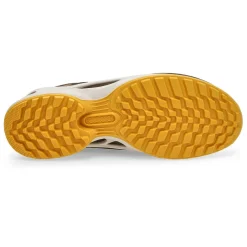 Ecco Biom Energi Explorer Men Best
