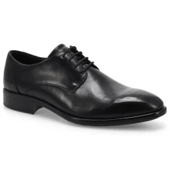 Ecco Citytray Men Best