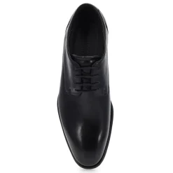 Ecco Citytray Men Best