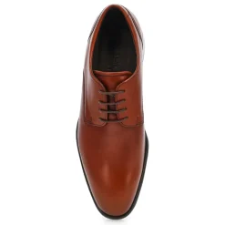 Ecco Citytray Men Best