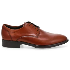 Ecco Citytray Men Best