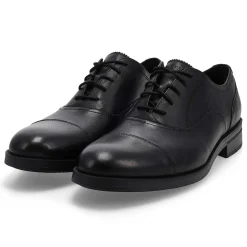 Cole Haan Newmark Grand Men Hot