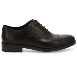 Cole Haan Newmark Grand Men Hot