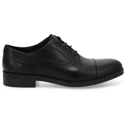 Cole Haan Newmark Grand Men Hot