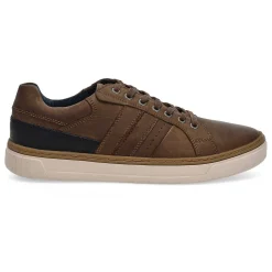 B&B Premium Philos Men Discount