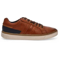 B&B Premium Philos Men Discount